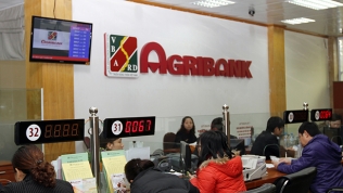 Nhà nước sẽ chỉ nắm 65% vốn điều lệ của Agribank