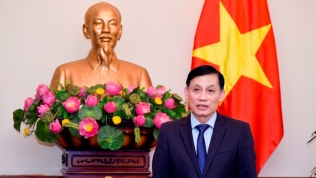 'Sẽ thúc đẩy pháp lý hóa 84% kết quả cắm mốc biên giới Việt Nam - Campuchia'