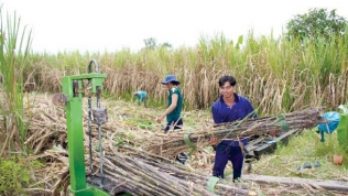 Kỷ yếu hội thảo 'giải pháp cho ngành mía đường Việt Nam trong tình hình mới'