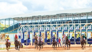 Hà Nội làm cầu nối thúc đẩy dự án trường đua ngựa nghìn tỷ tại Sóc Sơn