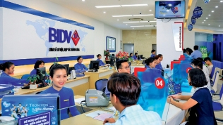 BIDV sắp đấu giá khoản nợ 123 tỷ đồng của Công ty GAC Việt Nam