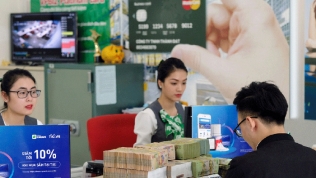 Nghịch lý DN Việt chậm lớn và phản hồi tâm huyết của một doanh nhân
