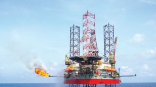 PVN đấu thầu hợp đồng dầu khí 300 triệu USD ngoài khơi Ấn Độ
