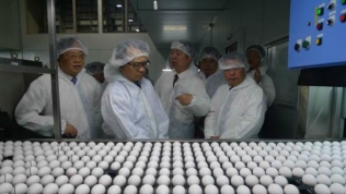 Ise Foods, công ty trứng lớn nhất thế giới muốn 'làm ăn lớn' ở Việt Nam