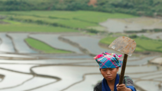 'Tăng trưởng tín dụng nóng là mầm mống khủng hoảng mới tại Việt Nam'