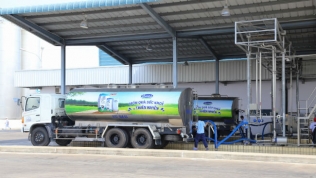 Bộ Nông nghiệp từ chối đề nghị bỏ thủ tục kiểm dịch sữa tươi của Vinamilk