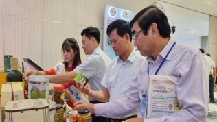 Hà Nội, TP. HCM và Vùng kinh tế trọng điểm miền Trung liên kết phát triển du lịch
