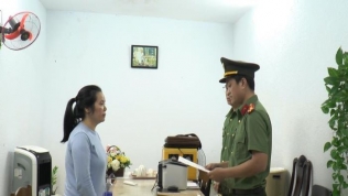 Đà Nẵng: Khởi tố nữ giám đốc tổ chức cho nhiều người trốn đi nước ngoài