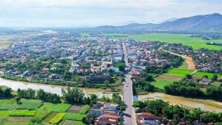 Bình Định: Đấu giá khu đất 88.000m2 làm khu dân cư