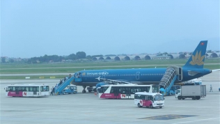 Hàng không Việt tìm động lực từ đường bay ngoại