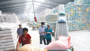 Mở tờ khai xuất khẩu gạo tồn ở cảng từ 0 giờ 00 phút ngày 25/4