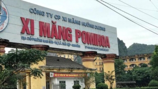 Thanh tra Chính phủ: '3 doanh nghiệp xi măng ở Ninh Bình thiếu 32,5 tỷ đồng tiền thuế tài nguyên'