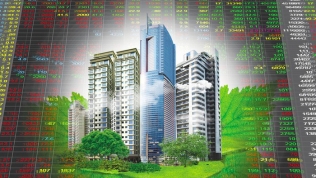 Cổ phiếu bất động sản: Sóng đơn lẻ