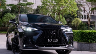 Sẽ mất 4 năm để khắc phục lỗi trên 24 chiếc sang Lexus NX350 bán tại Việt Nam