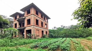 Loạt biệt thự hoang tàn suốt chục năm trong Khu đô thị Nam Từ Sơn