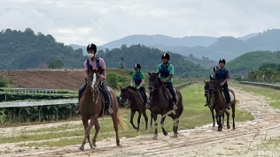 Lâm Đồng: Công ty Thiên Mã-Mađagui được chuyển đổi hơn 6.500m² đất để xây trường đua ngựa
