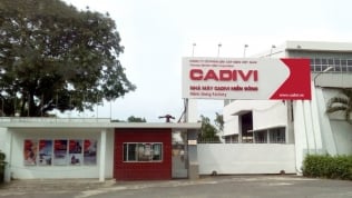 CADIVI muốn hủy niêm yết 57,5 triệu cổ phiếu trên HOSE