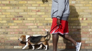 Startup cung cấp dịch vụ ‘dắt chó đi dạo’ nhận 300 triệu USD vốn đầu tư