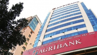 Khởi tố 3 cán bộ trong vụ ‘bốc hơi’ hơn 8 tỷ tại Agribank Quảng Ninh