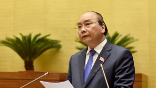 Thủ tướng Nguyễn Xuân Phúc đề xuất trồng 1 tỷ cây xanh trong 5 năm tới