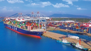 Bà Rịa - Vũng Tàu báo cáo Chính phủ dự án trung tâm logistics Cái Mép Hạ 19.200 tỷ đồng