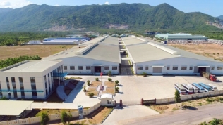 Bình Định: Công ty Kim Thành Lập được chấp thuận dự án sản xuất ván gần 4.400 tỷ