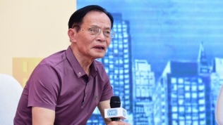 TS Lê Xuân Nghĩa: 'Những doanh nghiệp BĐS đang điêu đứng đều không sở hữu ngân hàng'