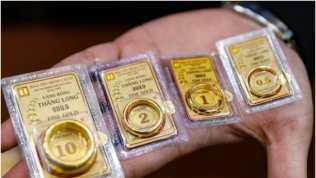 Giá vàng nhẫn vượt 77 triệu đồng/lượng, nhà vàng bận rộn điều chỉnh giá