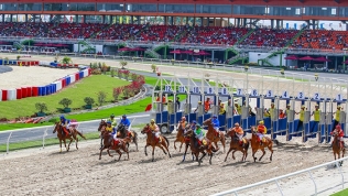 Dự án trường đua ngựa 420 triệu USD tại Hà Nội được trao chứng nhận đầu tư