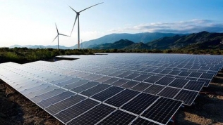 EVN khởi công dự án điện mặt trời Phước Thái 1 hơn 1.112 tỷ đồng