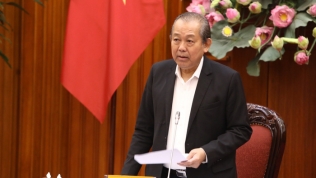 Phó thủ tướng Trương Hoà Bình: 'Anh nào sợ trách nhiệm thì xin nghỉ để người khác làm'