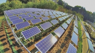Quảng Trị sắp có dự án trang trại kết hợp điện mặt trời áp mái hơn 842 tỷ đồng
