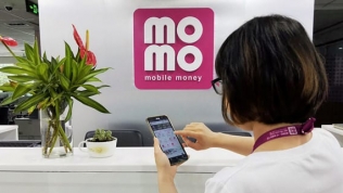 Gọi vốn thành công, MoMo nhận 200 triệu USD từ 4 nhà đầu tư trên thế giới