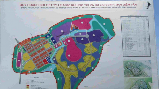 Bình Định chuyển mục đích 12,7ha đất rừng để lấy vật liệu san lấp làm khu đô thị 4.990 tỷ