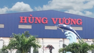 HVG: Thaco bán ra, lãnh đạo Hùng Vương mua vào