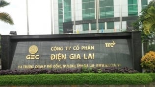 Ban lãnh đạo Điện Gia Lai ồ ạt đăng ký bán cổ phiếu
