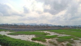 Khu đô thị mới Kim Bình (Hà Nam): Chủ đầu tư bán 'lúa non', khách hàng chịu rủi ro