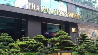 Thaiholdings của bầu Thụy báo lãi hơn 1.000 tỷ đồng, cổ phiếu tăng trần