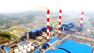 Doanh thu giảm mạnh, Nhiệt điện Quảng Ninh vẫn báo lãi 117 tỷ đồng trong quý I