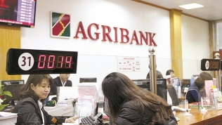 Agribank đấu giá khoản nợ hơn 145 tỷ đồng của Công ty Ngôi Sao Việt