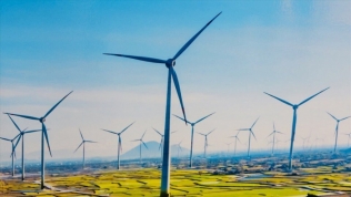 Bộ Công thương xin ý kiến về cơ chế cho điện gió, điện mặt trời dở dang