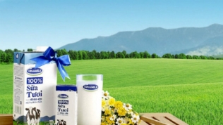F&N Dairy tiếp tục miệt mài đăng ký mua thêm 14,5 triệu cổ phiếu Vinamilk
