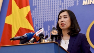 Người phát ngôn Bộ Ngoại giao: 'Việt Nam quan ngại trước tình hình tại Syria'