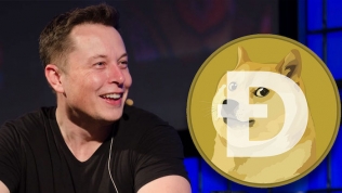 Một tài khoản nắm giữ hơn 2 tỷ USD tiền Dogecoin, tỷ phú Elon Musk được réo tên