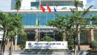 'Tổng công ty Điện lực Miền Trung có trách nhiệm trong sai phạm điện mặt trời ở Đắk Lắk'