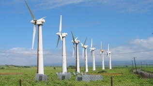 Lâm Đồng muốn làm 4 nhà máy điện gió công suất gần 200MW