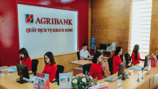 Agribank rao bán 3 khu đất lớn của Lắp máy Miền Nam siết khoản nợ 355 tỷ