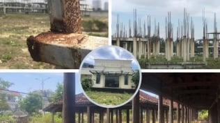 Quảng Nam: Cận cảnh loạt dự án bỏ hoang trên tuyến đường ven biển Điện Bàn - Hội An