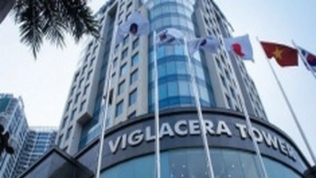Gelex ước chi gần 2.000 tỷ đồng chào mua 95 triệu cổ phần Viglacera