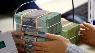 Chưa nộp 23,8 tỷ đồng tiền thuế, một công ty ở Hà Nội bị Hải quan cưỡng chế